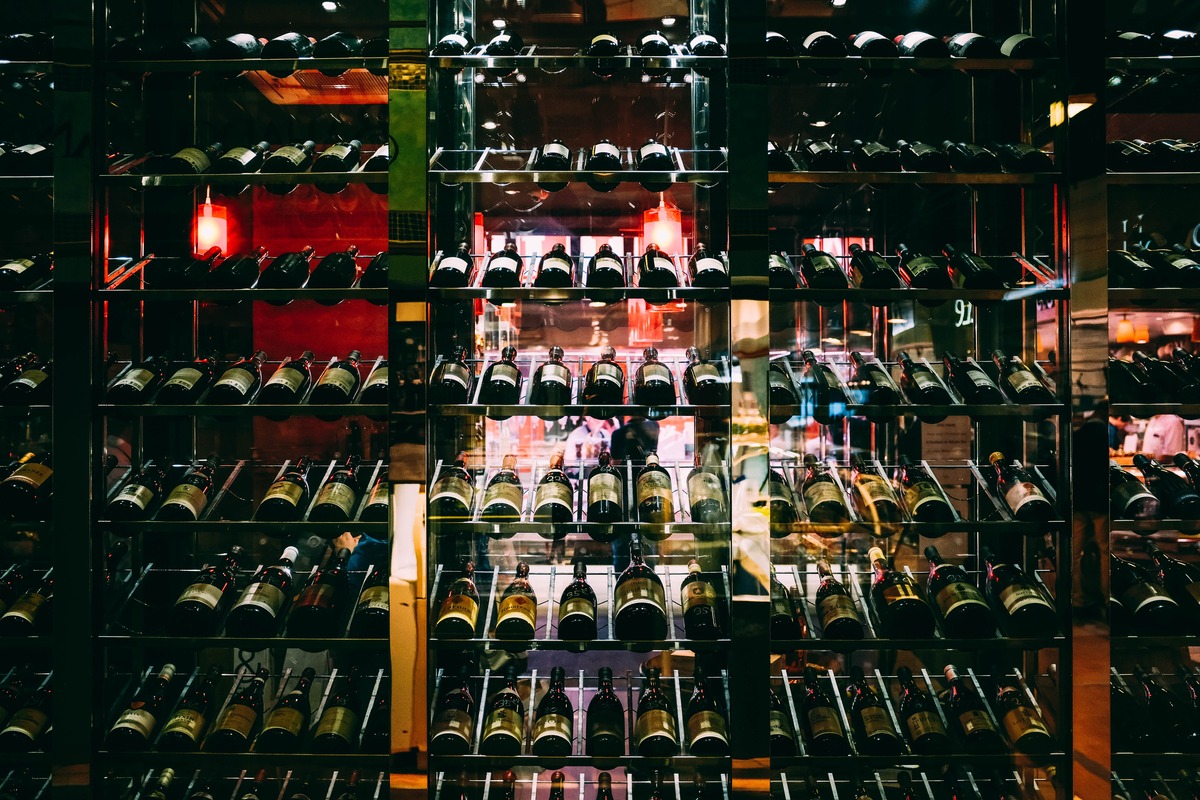 Explore the World of Wine Types and Tasting